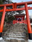 IMG_4573.jpeg