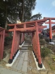 IMG_9101.jpeg